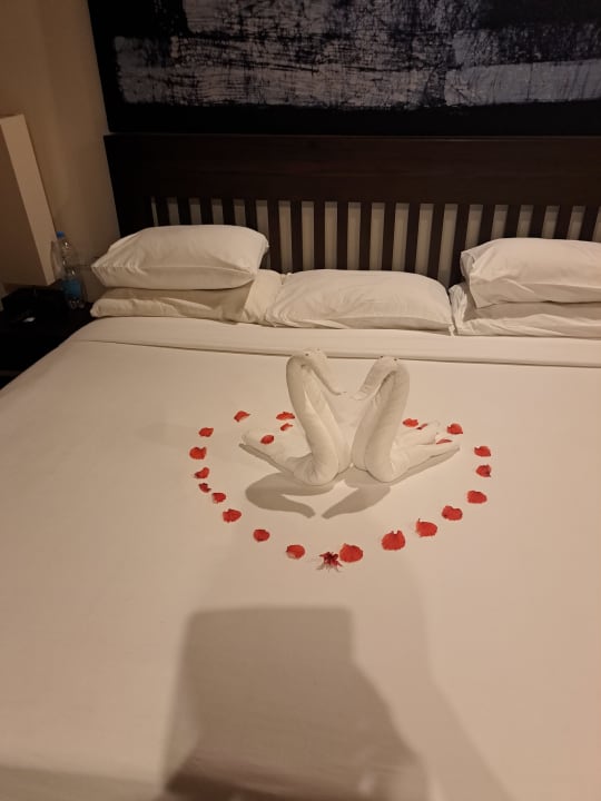 Zimmer Club Hotel Dolphin