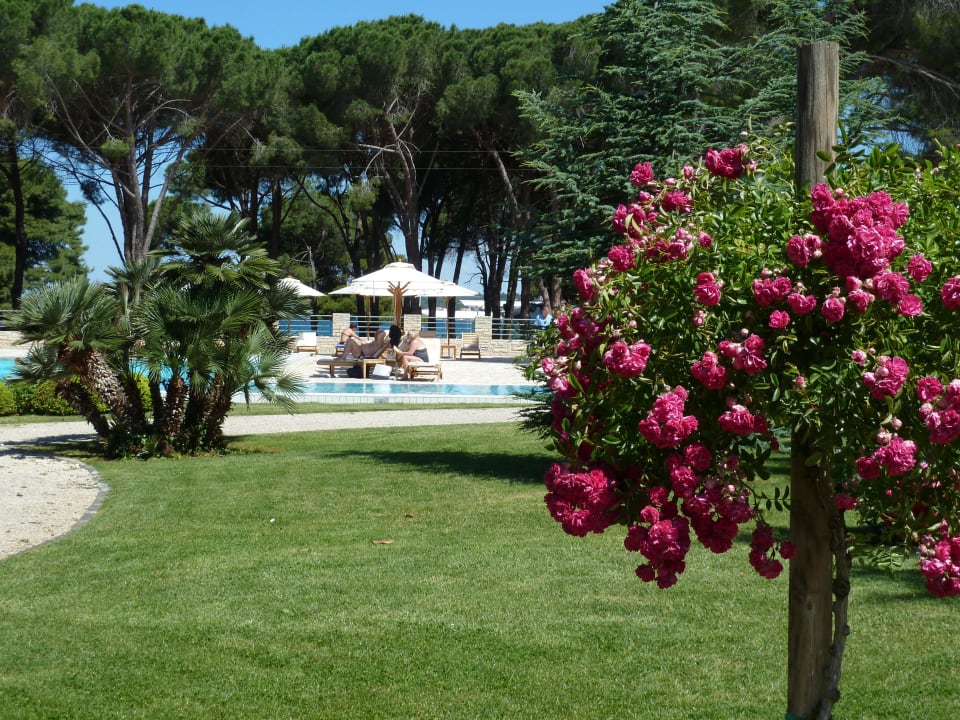 Gepflegte Blumen.  Falkensteiner Hotel Adriana