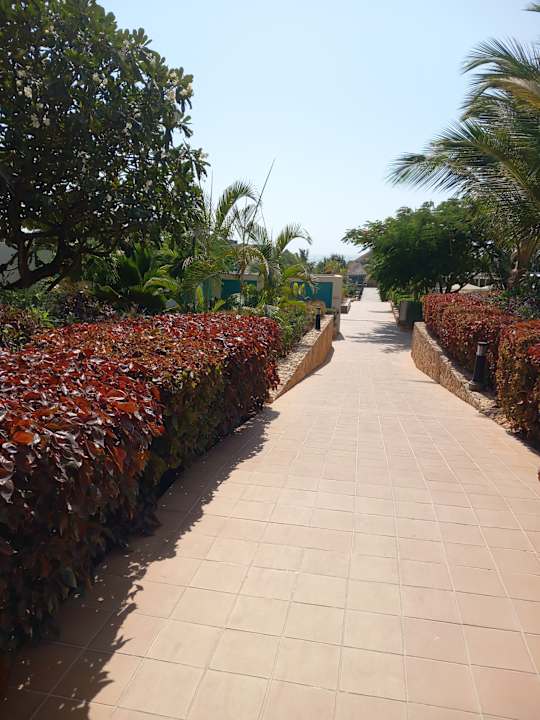 Gartenanlage Hotel Riu Jambo
