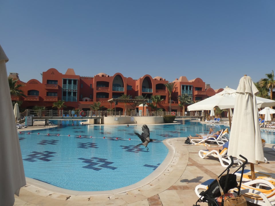 Pool Sheraton Miramar Resort El Gouna