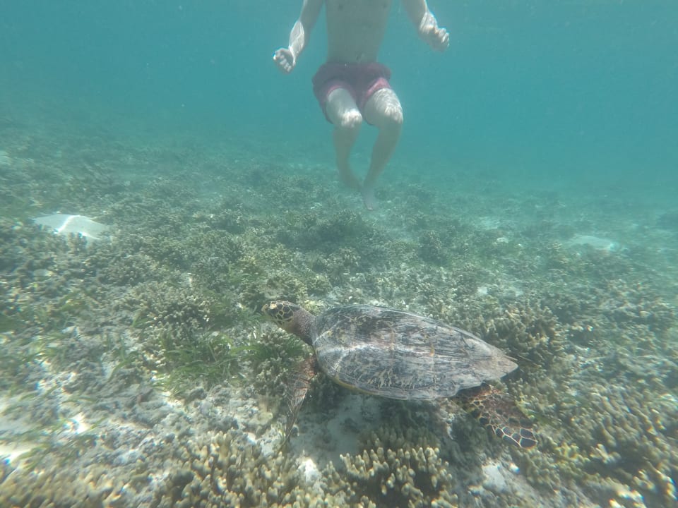 Sport & Freizeit Adaaran Select Hudhuran Fushi - Premium All Inclusive