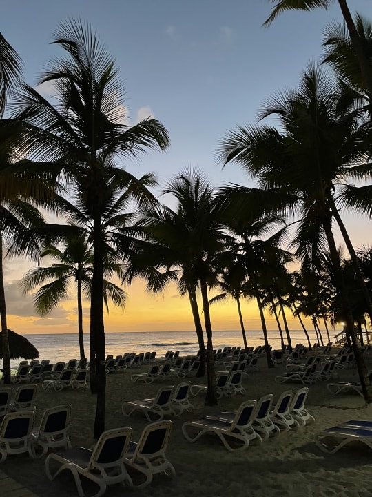 Strand Hotel Viva Dominicus Beach by Wyndham - All Inclusive Resort