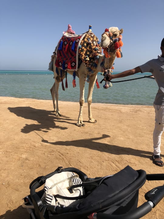 Strand Le Jardin Aqua Park Resort