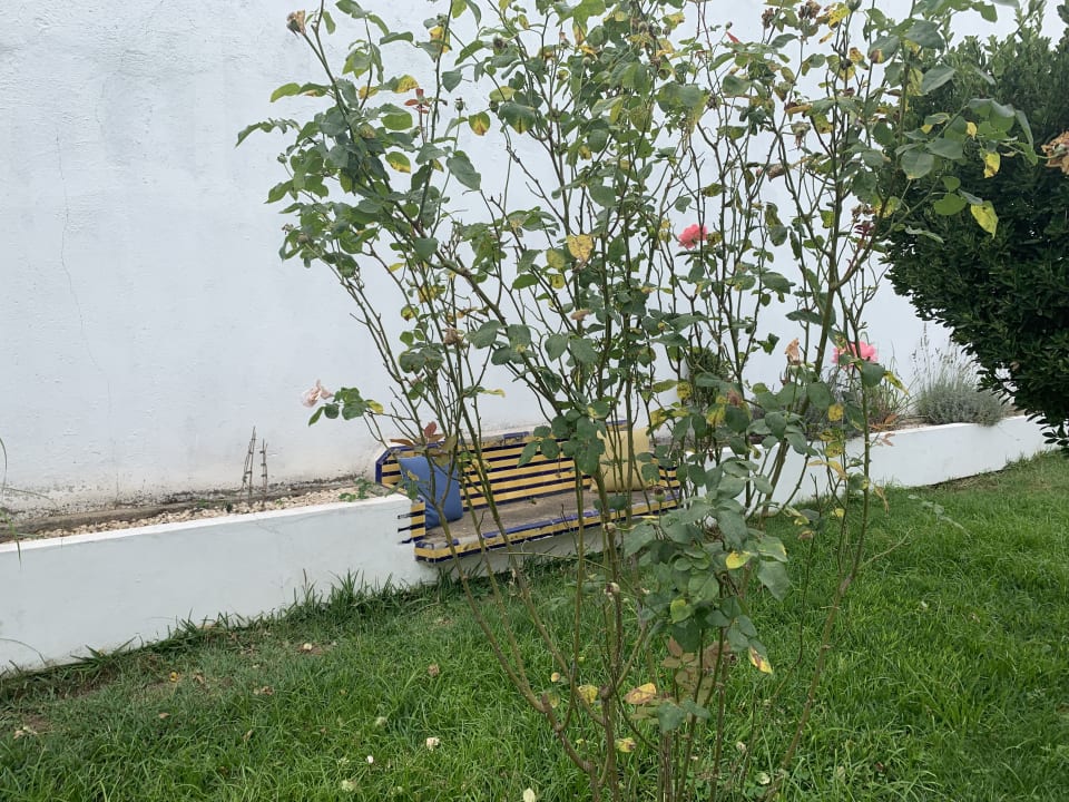 Gartenanlage Oryza Guest House & Suites