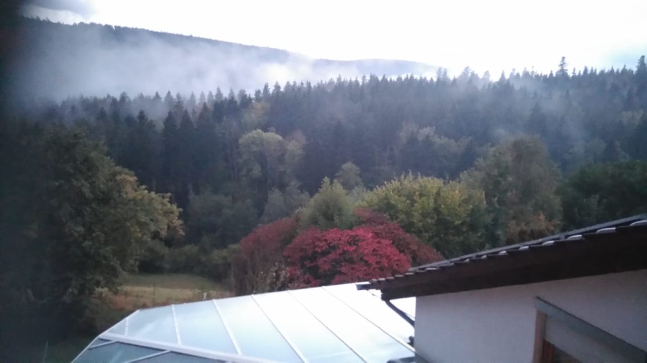 Ausblick Schwarzwaldhotel-Gasthof Hirsch