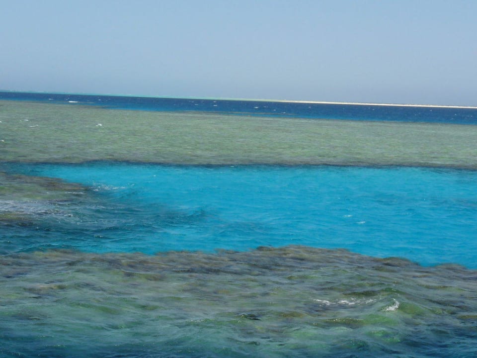 Strand Malikia Resort Abu Dabbab