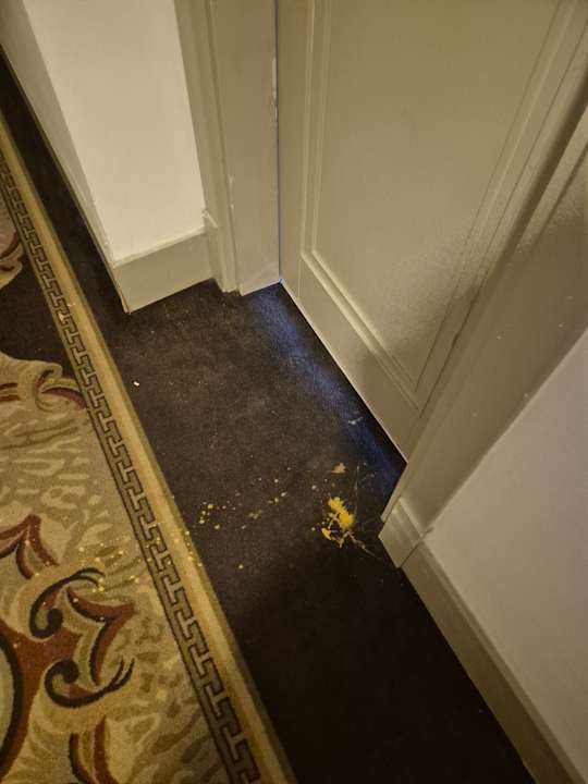 Zimmer Well Palace Side