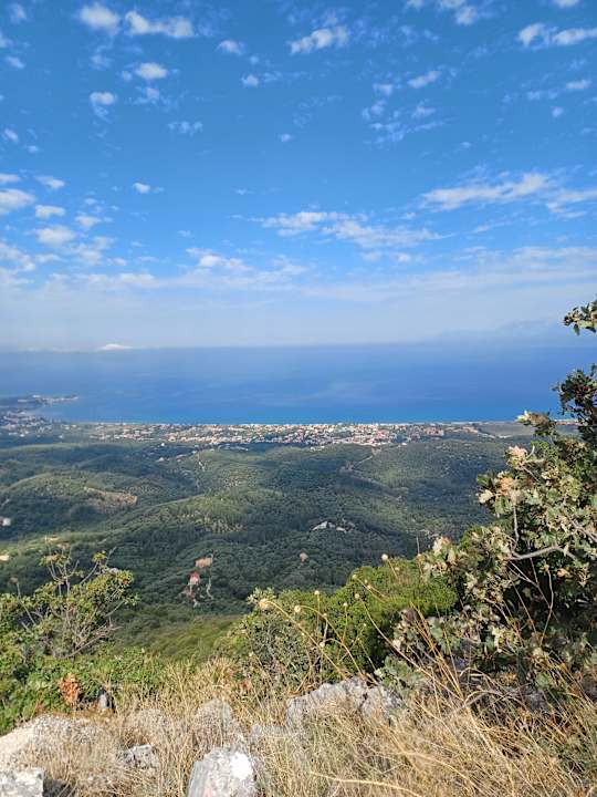 Ausblick Hotel Alexis