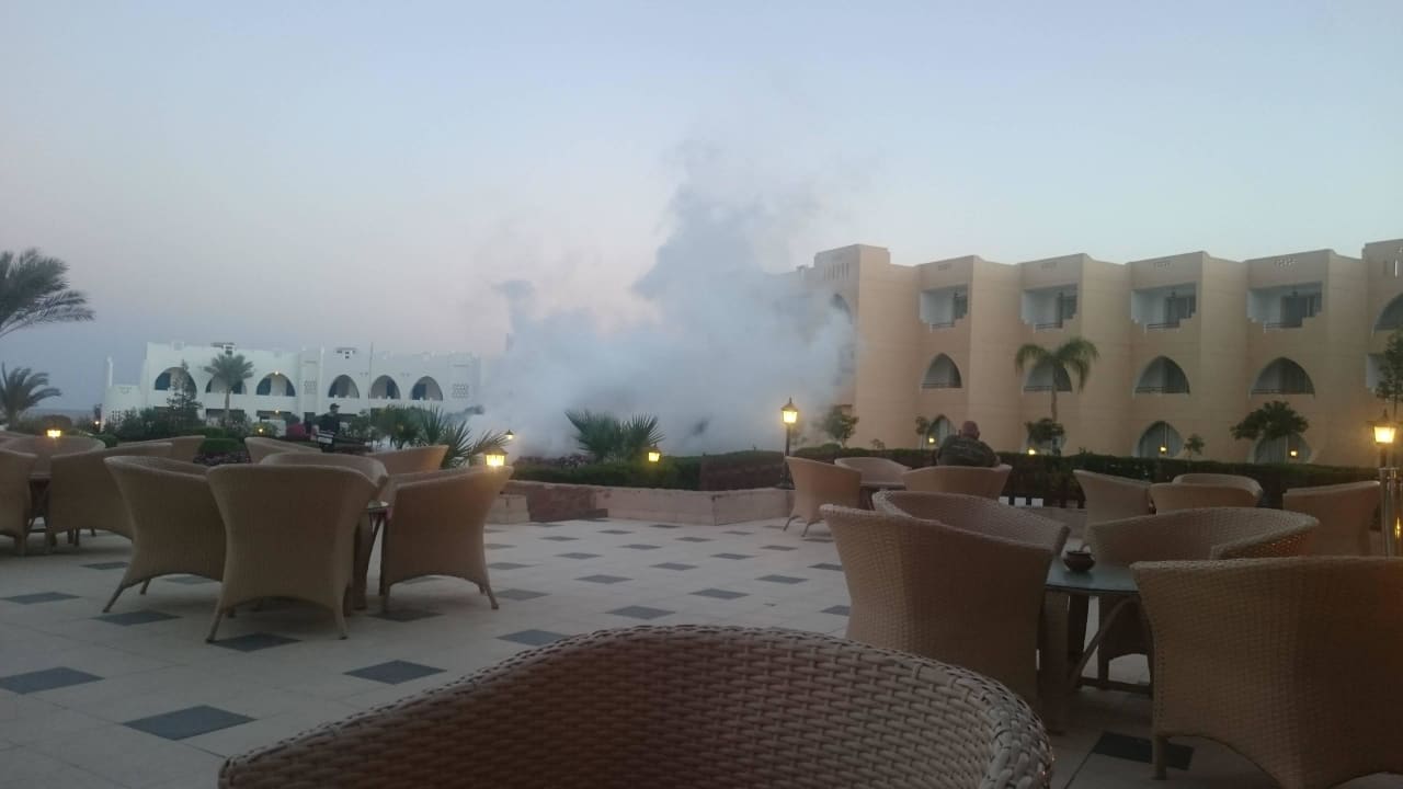 Allabendliche Ausräucherung von Insekten Three Corners Equinox Beach Resort