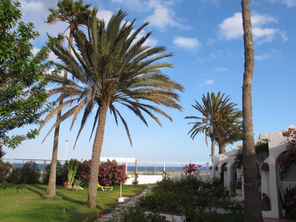 Bungalow mit Meerblick Sahara Beach Club