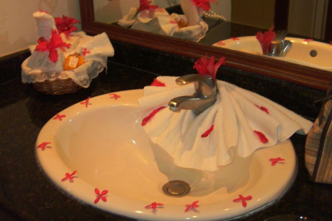 Zimmer Royalton Splash Punta Cana