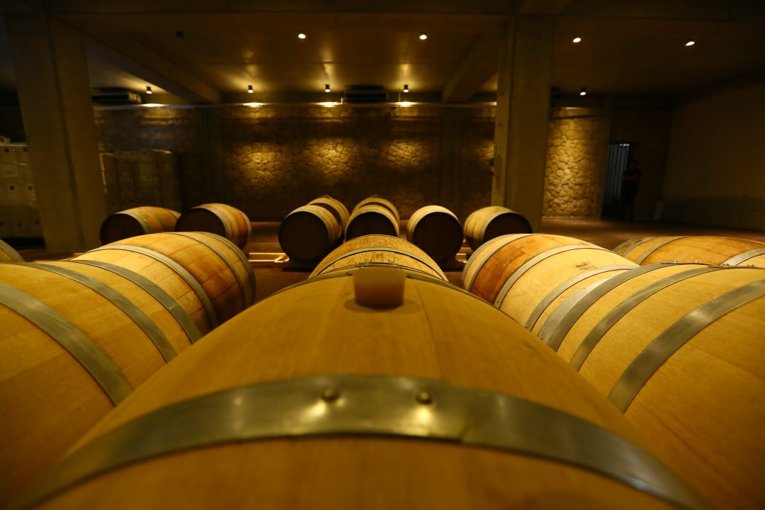 Sonstiges Gillham Vineyard Hotel