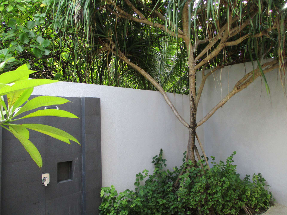 Zimmer ROBINSON NOONU