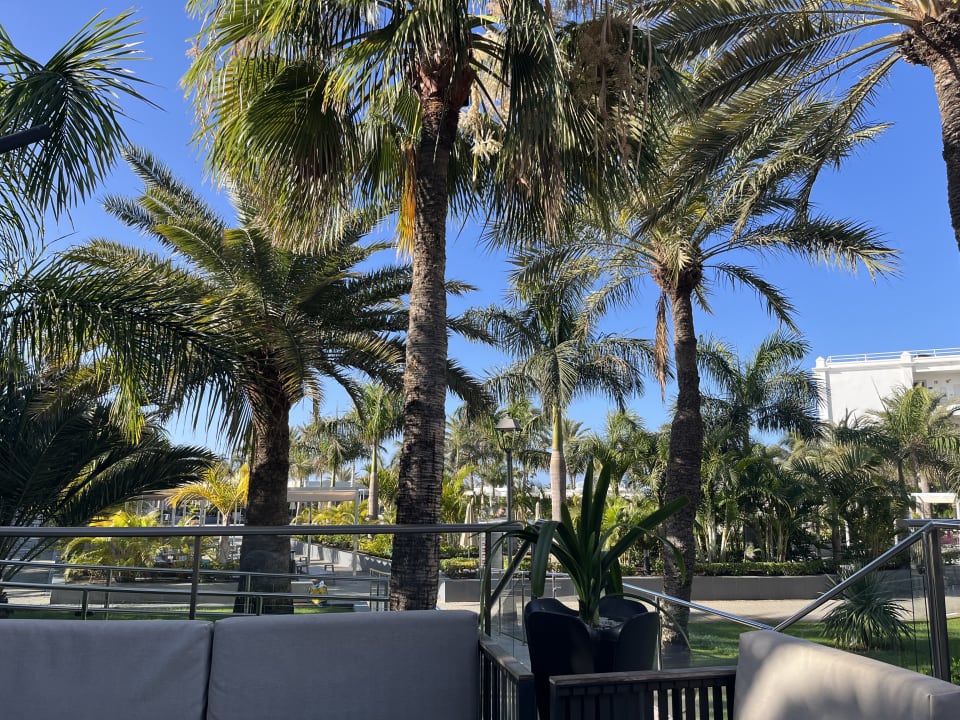 Gartenanlage Hotel Riu Palace Maspalomas Adults Only