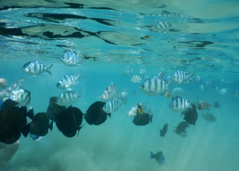 Strand Grand Waterworld Makadi