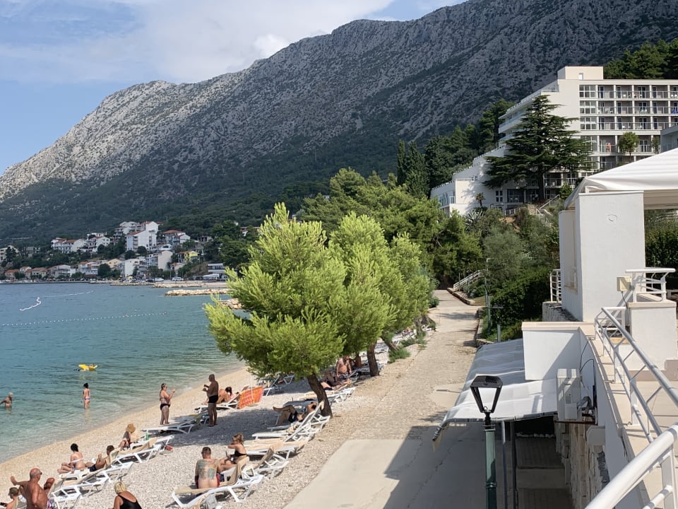 Ausblick TUI BLUE Adriatic Beach