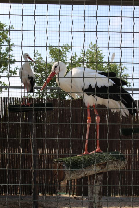Sport & Freizeit B&B Masseria Mazzetta