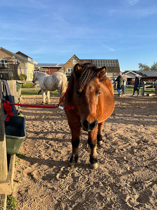 Außenansicht Büdl'farm - Der Familien-Erlebnishof