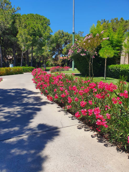 Gartenanlage Xanadu Resort Hotel