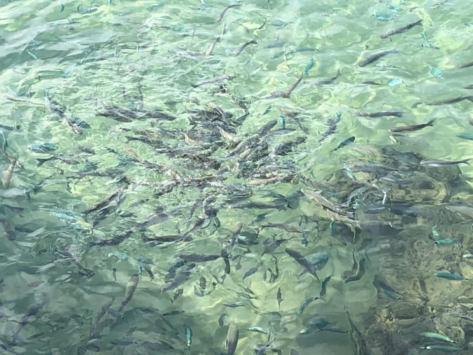 Strand VONRESORT Golden Beach