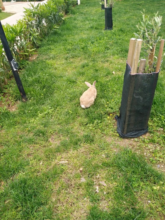 Gartenanlage Labranda Alantur Resort