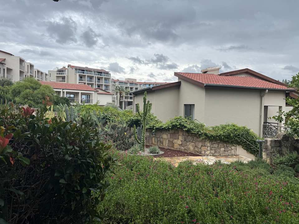 Gartenanlage Arum Barut Collection