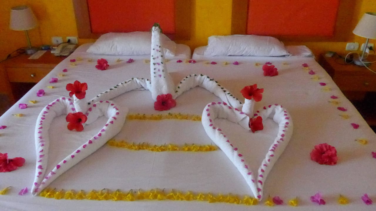 Überraschung! Kein Honeymoon, einfach so. Hotel Gorgonia Beach Resort