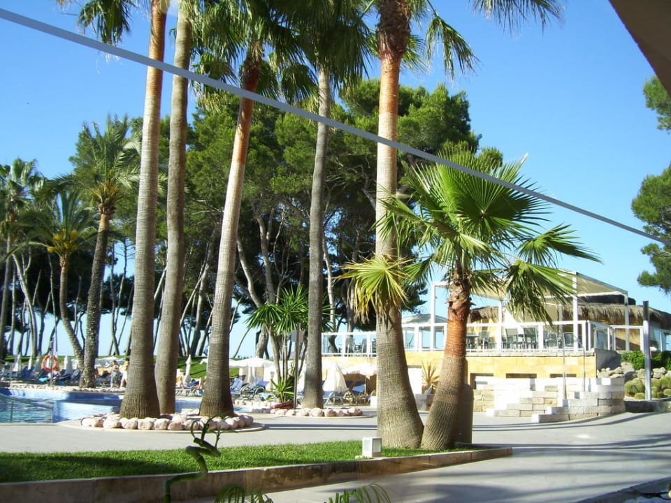 Poolanlage Iberostar Waves Playa de Muro