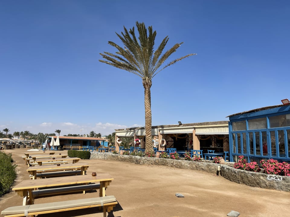 Gastro Club Paradisio El Gouna, Red Sea