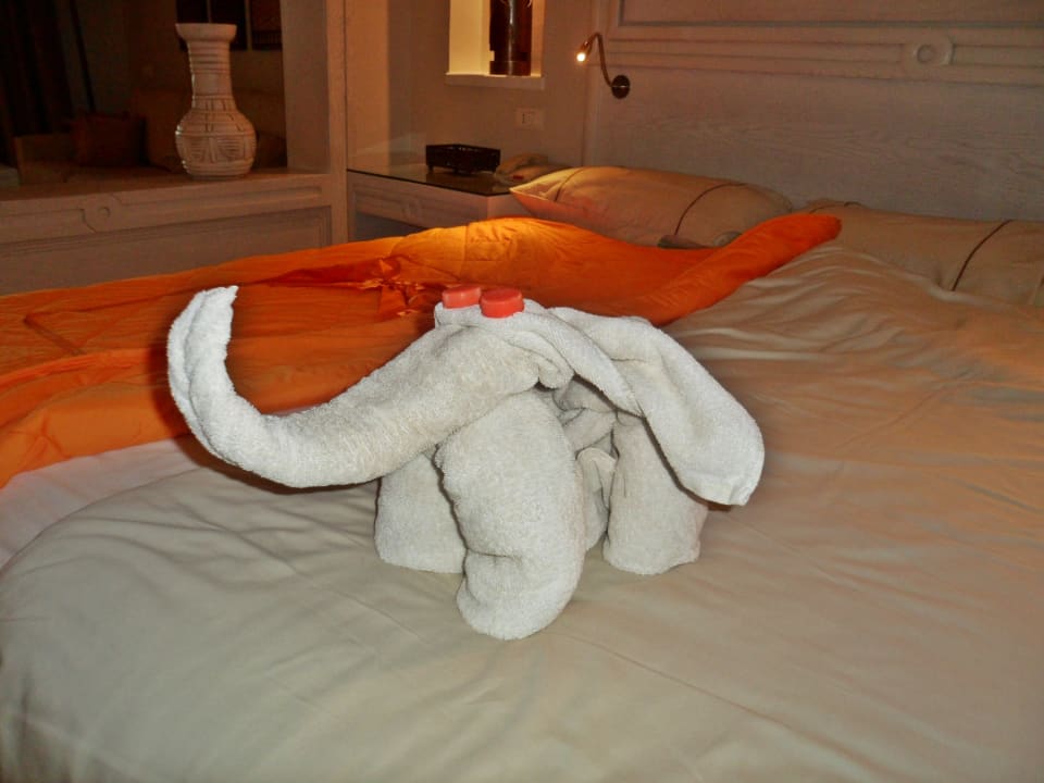 Zimmer Makadi Spa - Adults only