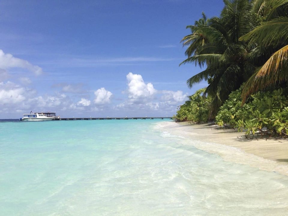 Kristallklares Wasser Angaga Island Resort