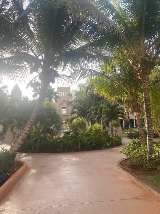 Gartenanlage Hotel Riu Touareg