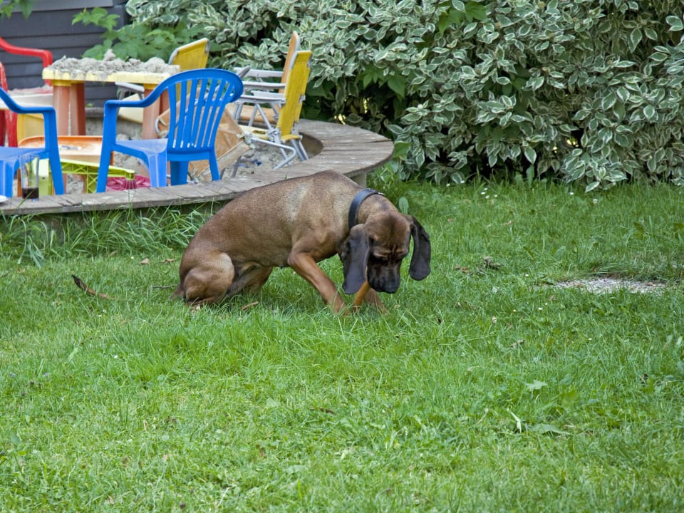 Grillabend am Ötzmooshof Hotel-Pension Ötzmooshof