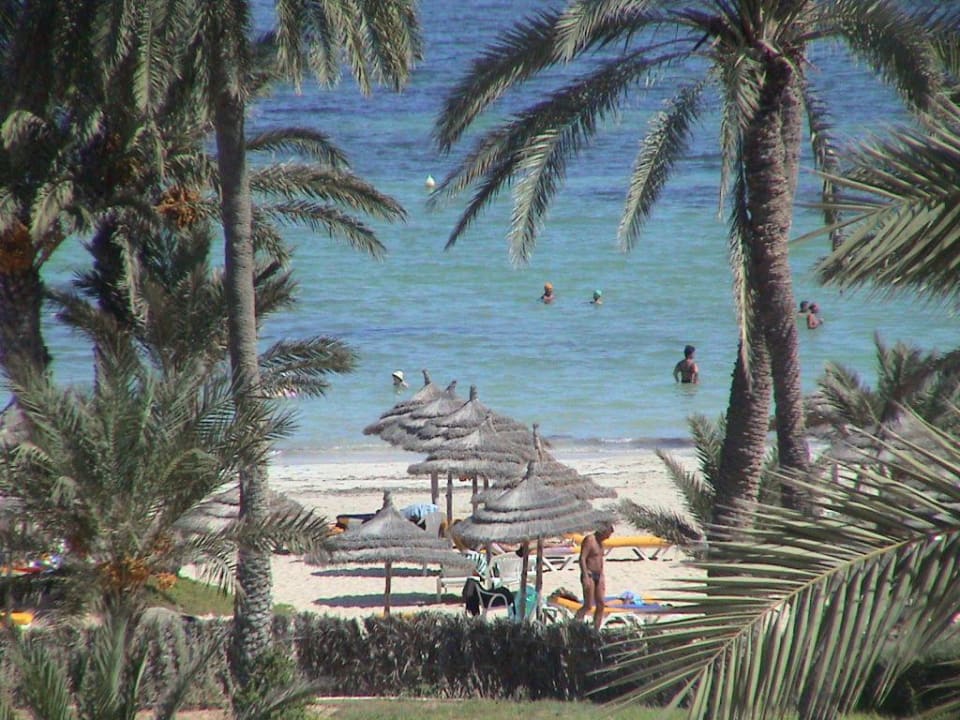 Blick auf's Meer Hotel Eden Star