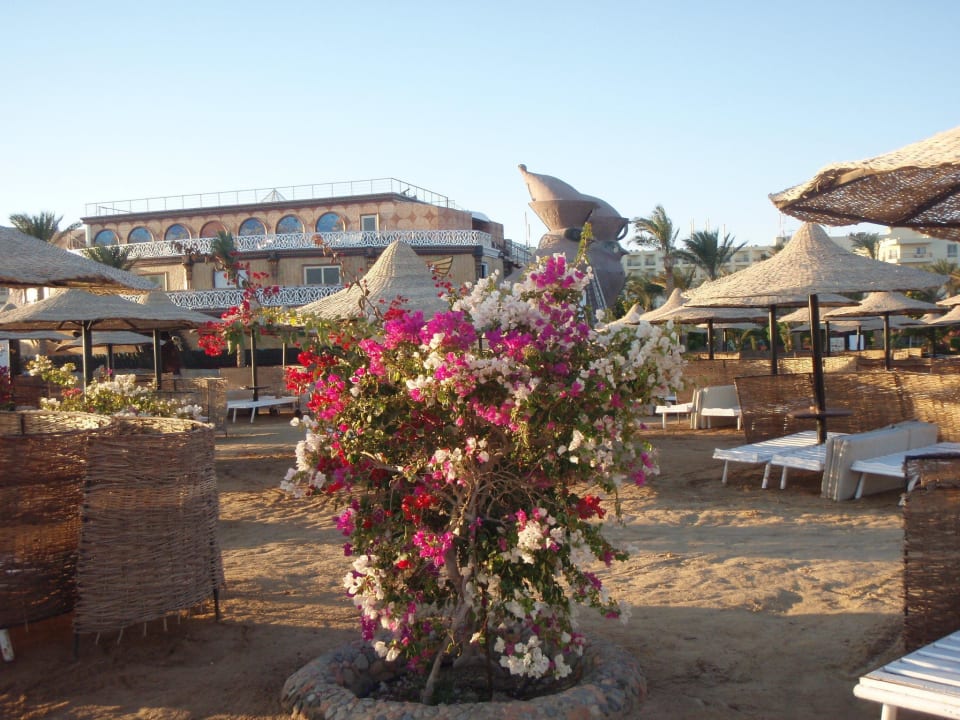 Наш пляж Riviera Aqua Park Resort