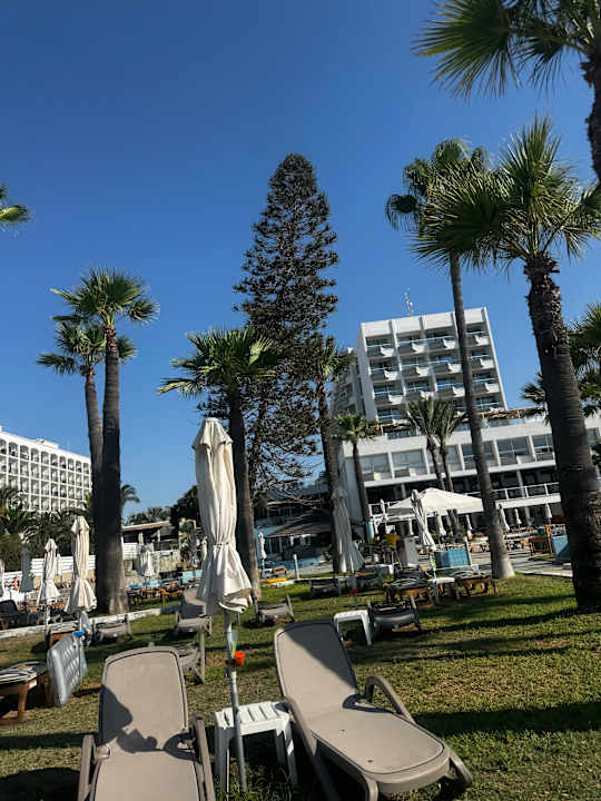 Gartenanlage The Golden Bay Beach Hotel