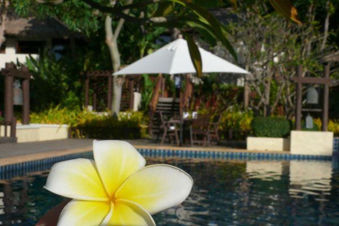 Im Pool - und ringsum Blühen die Frangipani Le Vimarn Cottages & Spa
