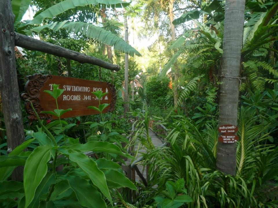 Jungle Marina Phuket Resort