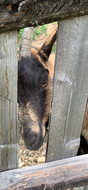 Gartenanlage Familienhotel Berger