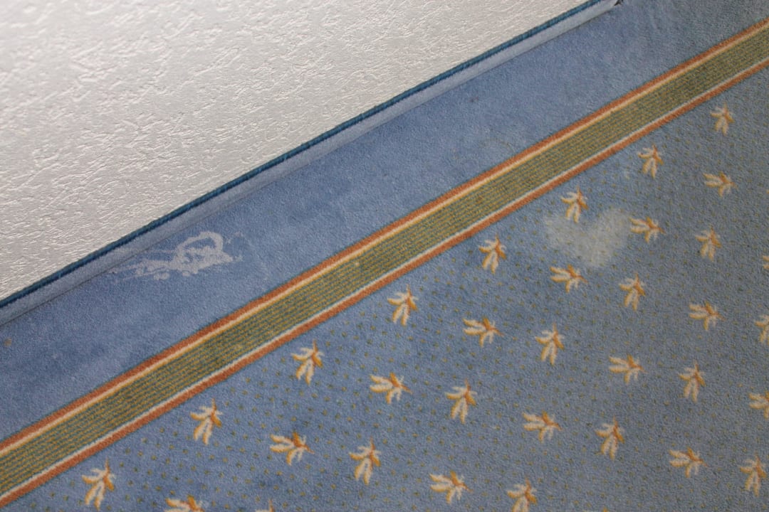 Flecken im Flur 3 Göbel's Seehotel Diemelsee