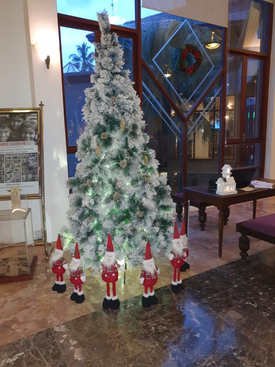 Lobby Royal Palms Beach Hotel