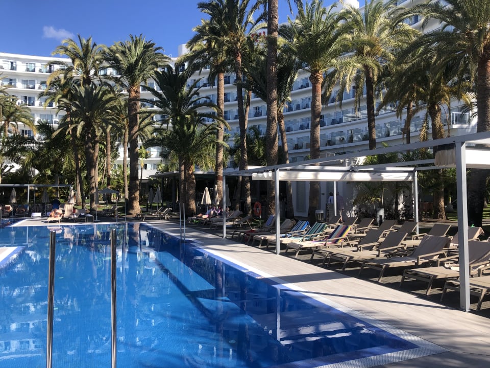 Pool Hotel Riu Palace Palmeras