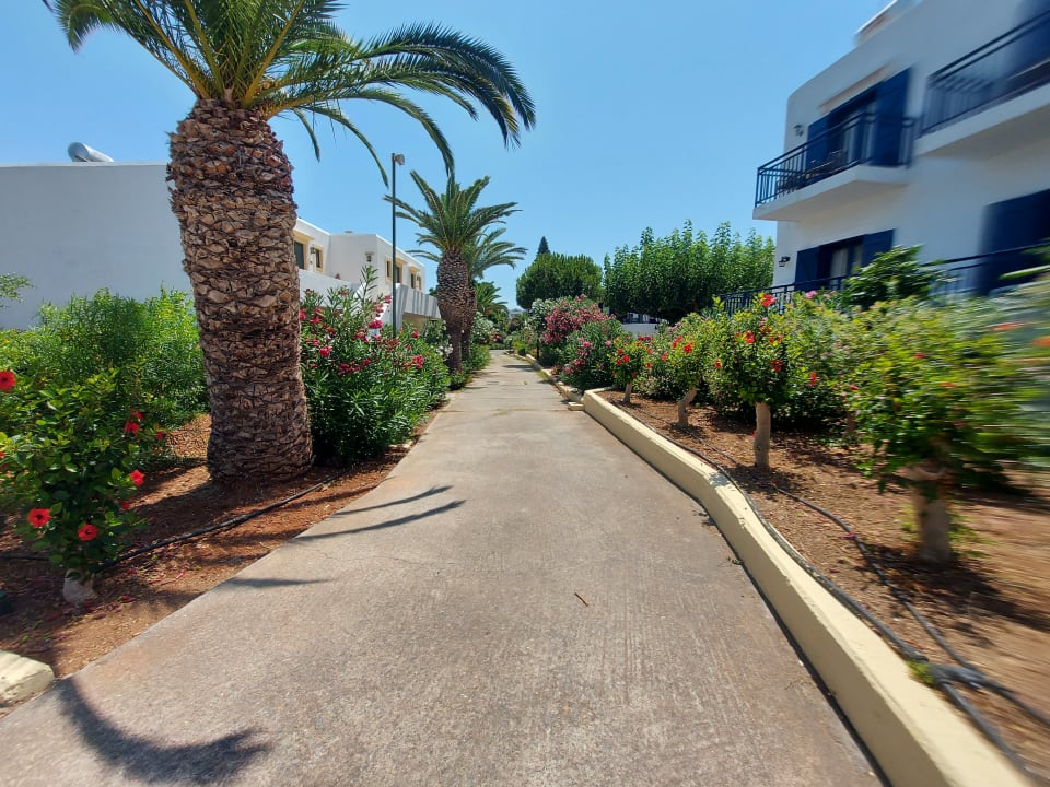 Gartenanlage TUI SUNEO Chrissi Amoudia