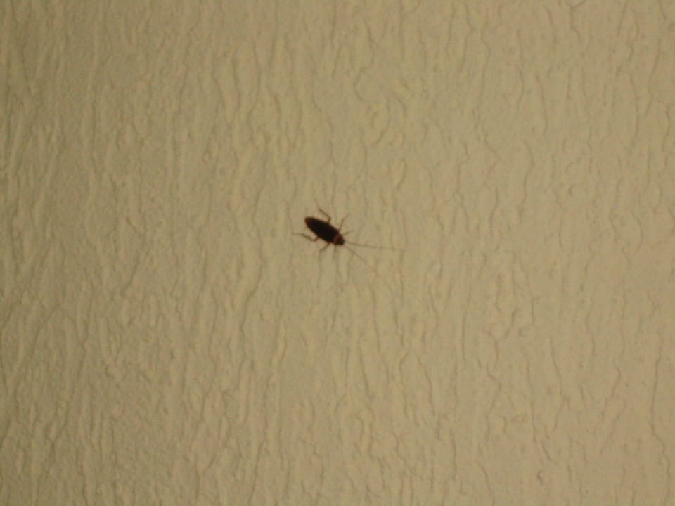 Kakalaken Mahdia Beach & Aquapark