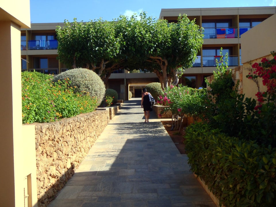Zimmeraussensicht Kernos Beach Hotel & Bungalows