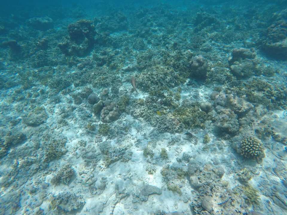 Strand Furaveri Maldives