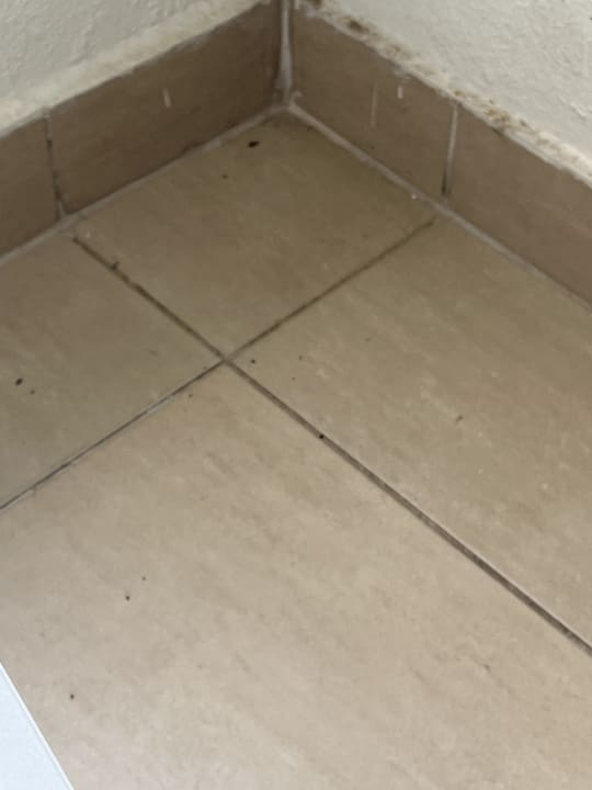 Zimmer Well Palace Side