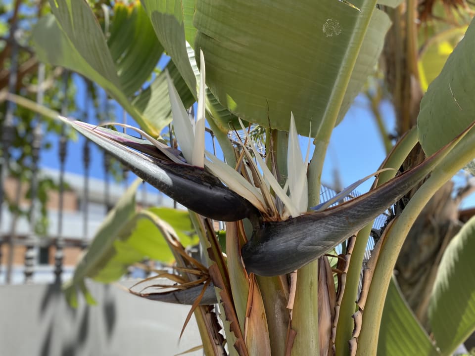 Außenansicht Las Tabaibas Appartements