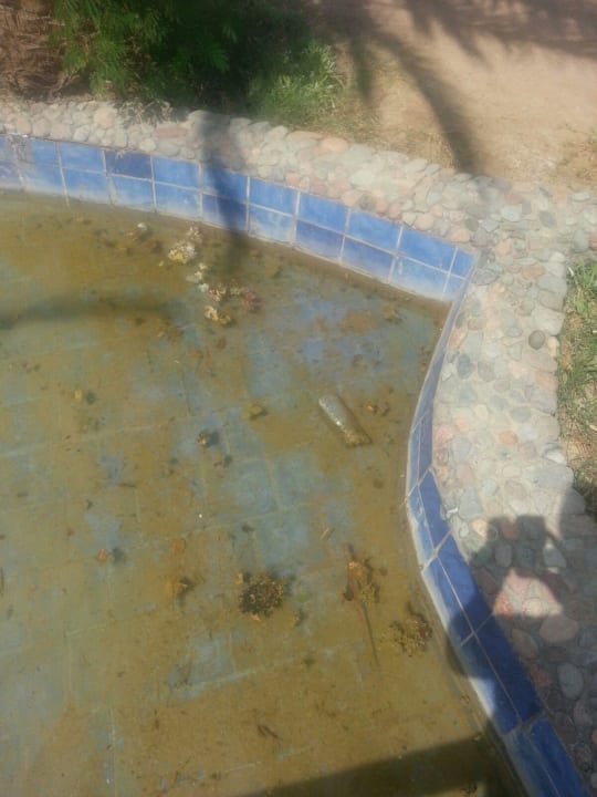 Kleine Poollandschaft  Giftun Azur Resort