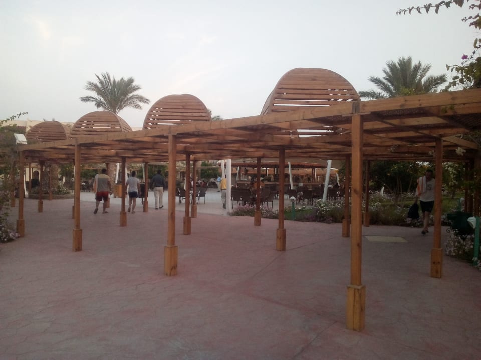 Gartenanlage Desert Rose